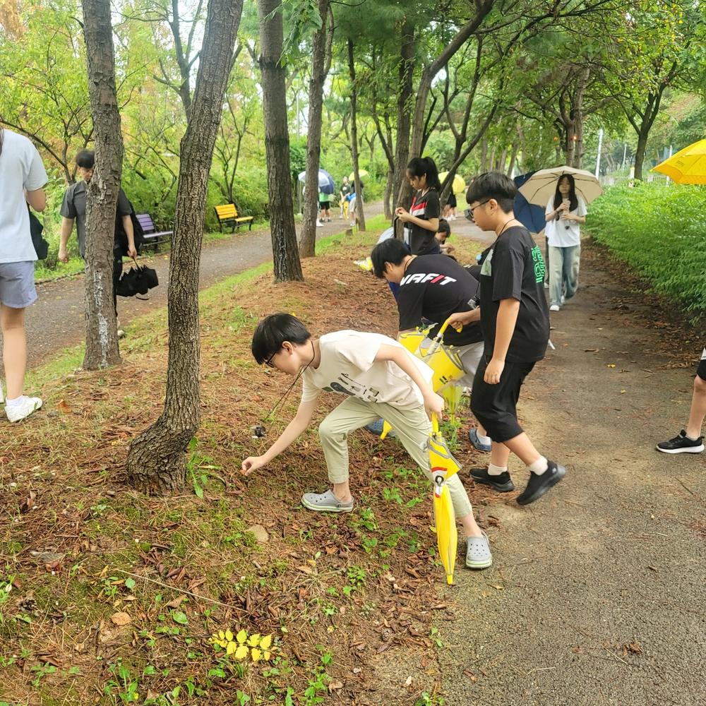 숲길에서 자연물 관찰하기