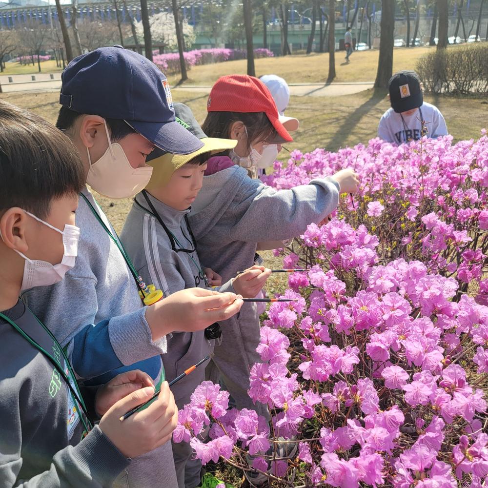 활짝 핀 진달래를 가까이 들여다보기