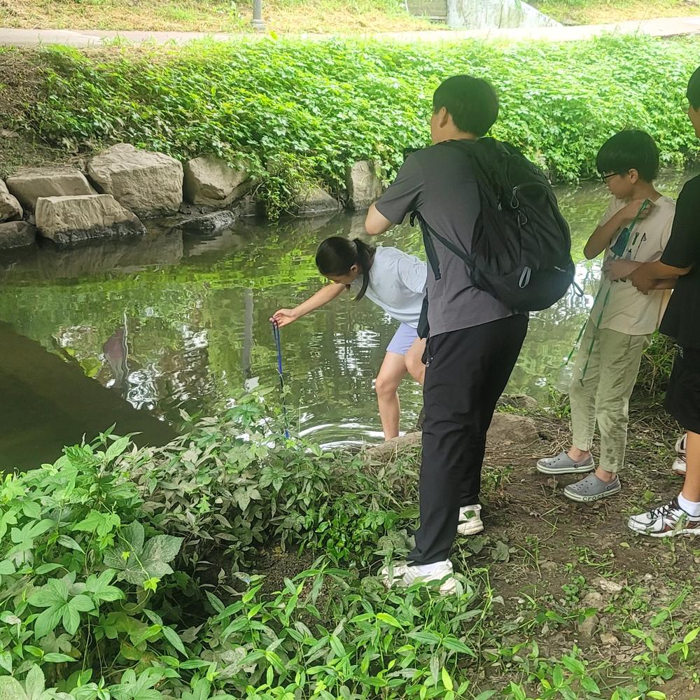 하천으로 내려가 관찰하기